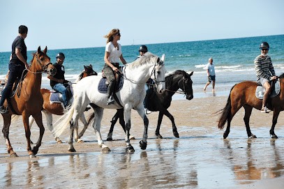 A.p.o Formation Group Aktion, Centre de Formation à Rouen