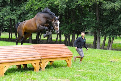 Stud De La Cense, Centre de Formation à Rochefort-en-Yvelines