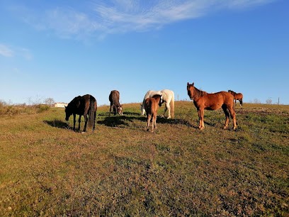 Le Hogan, Centre de Formation à Saint-Jeure-d'Ay
