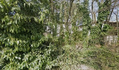 Conti Daniella, Centre de Formation à Saint-Cyr-au-Mont-d'Or