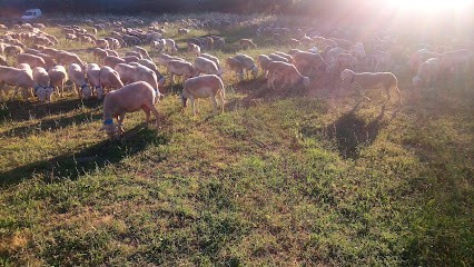 Le PLAN B, Centre de Formation à Montpeyroux