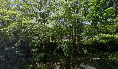 European Centre D'education Permanente, Centre de Formation à Fontainebleau