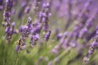 Alpes Durance Ateliers Formations, Centre de Formation à Riez