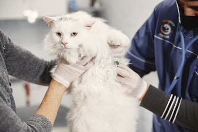 Avna France Animal Vet Nurse Academy Centre De Formation à Paris 08