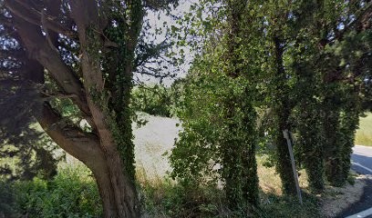 Maurin Serge, Centre de Formation à Sauveterre