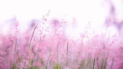 Ecole Naturopathic J'aime La Nature - Clermont Ferrand - Formations En Naturopathie/Bien-Être, Centre de Formation à Clermont-Ferrand