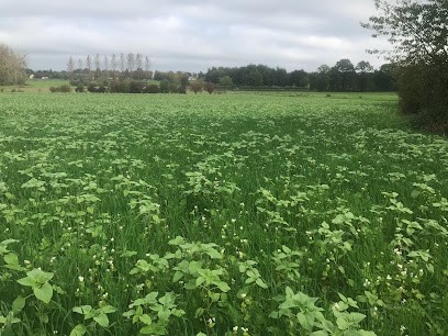 Edmond A2c Sibau 35, Centre de Formation à Fougères