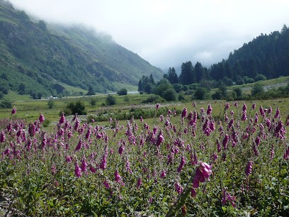 Academy Eur Medecines Naturelles Pau, Centre de Formation à Pau