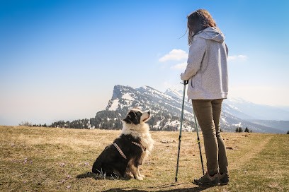 Sherwood Animalia, Centre de Formation à Carquefou