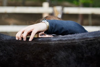 C-Nesoa - National Center Studies Specialized In Osteopathy Animal, Centre de Formation à Châtel-Guyon