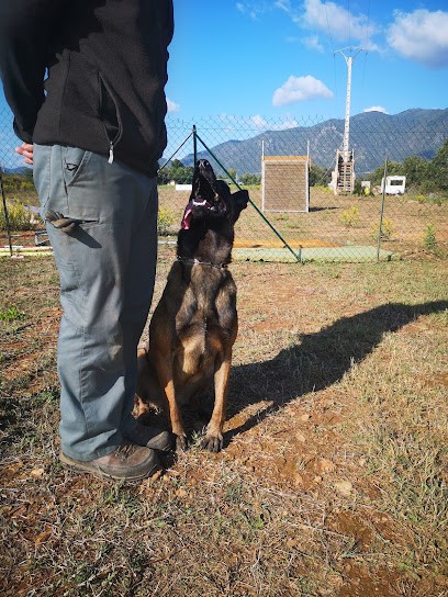 Training Métiers Animaliers En Corse, Centre de Formation à Linguizzetta