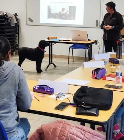 Palace Formations, Centre de Formation à L'Île-d'Olonne