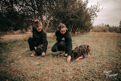 Cynopsy, Centre de Formation à Elne