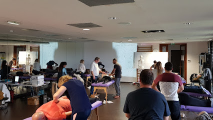Formation Kinesiologie Kmi Centre De Formation à Bidart