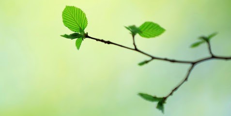 Ecole Of L'onde Du Dragon, Centre de Formation à Nantes