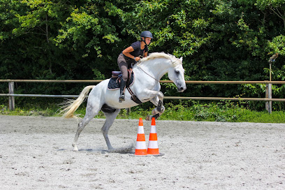 Equus Project, Centre De Formation à Vigneux-de-Bretagne
