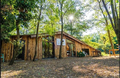 Noa, La Bienveillance Au Coeur De L'enfance, Centre de Formation à Valence