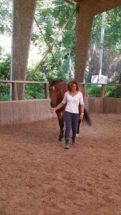 Un Regard Sur Soi - Equicoaching Business & Particular - Stephanie Sist, Centre de Formation à Montaut-les-Créneaux