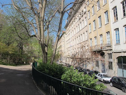 Ecole Of Lyon Plants Medicinal, Centre de Formation à Lyon 01