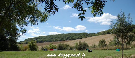 Doggycoach Patrick Aufroy, Centre De Formation à Prades
