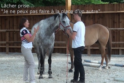 Equicoaching Pont L'évêque | Training Manager - Pégase Consult, Centre de Formation à Pont-l'Évêque