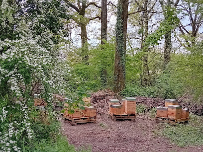 Anercea - Apiculture, Centre De Formation à Saint-Pierre-d'Amilly