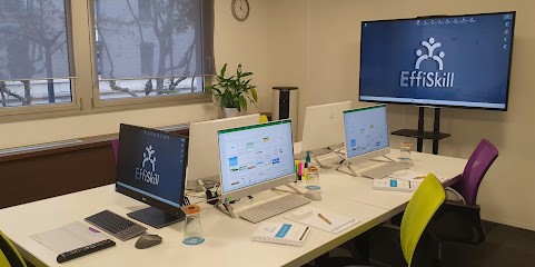 Effiskill, Centre de Formation à Lyon 02