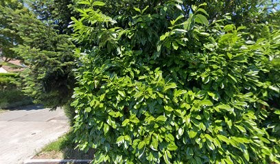 Intelligent Business, Centre de Formation au Plessis-Trévise