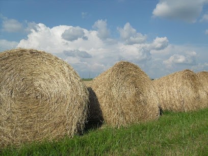 A . D . P . S . P . A, Centre de Formation à Montauban