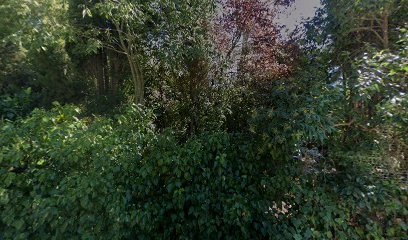 Morin Pierre, Centre de Formation à Montpellier