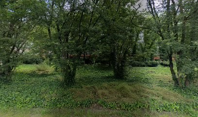 Swap Dentist, Centre de Formation à Lyon 06