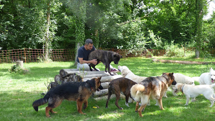 Edukadog Centre De Formation à Sainte-Pazanne