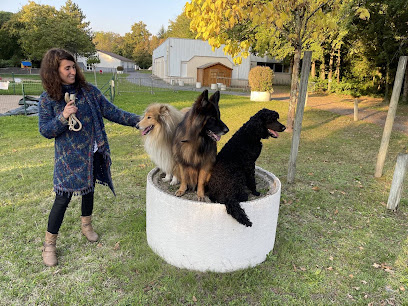 Ceephao - Formation De Comportementaliste Animalier (Canin, Félin, Équin) & D'éducateur Canin - Un Programme Unique En Centre, Centre De Formation à Saint-Brieuc