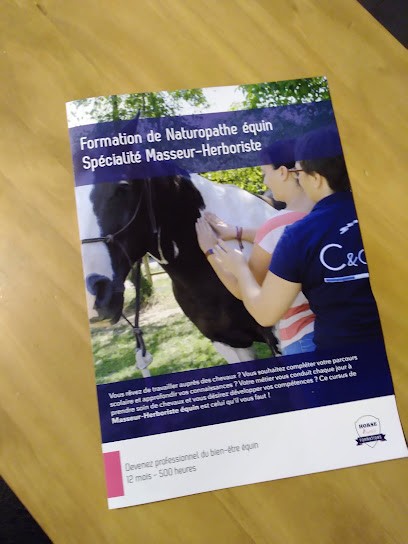 Horse-Well Formation, Centre de Formation à Saint-Pierre-d'Oléron