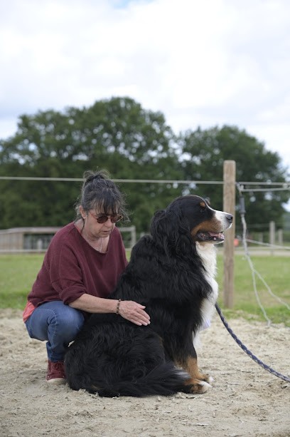 Ekivie - Training Kinésiologie, Centre de Formation à Veyrac