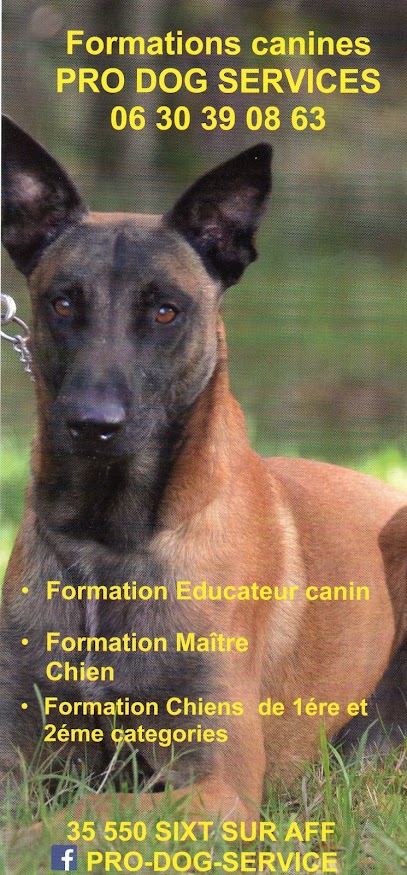 Pro Dog Services, Centre De Formation à Sixt-sur-Aff