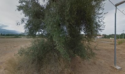 Les Compagnons Du Devoir, Centre de Formation à Lucciana