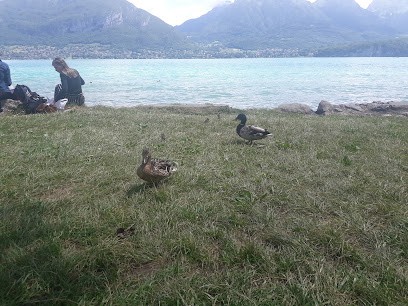 Cnqaos D'annecy - Training Center Assistant Dental, Centre de Formation à Saint-Jorioz