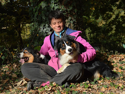 Anim'heureux - Formation Pour Éducateurs Canins - Education Canine - Parc De Loisirs Canins Centre De Formation à la Bâtie-Montgascon