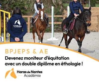 Haras De Nantes Académie Centre De Formation à la Chapelle-sur-Erdre
