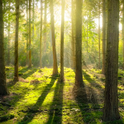 Tiphaine Noisette, Centre de Formation à La Roche-Noire