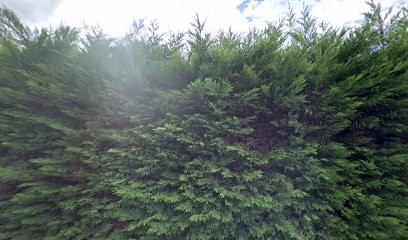 Transvers'al Formations, Centre de Formation à Saint-Symphorien-sur-Saône