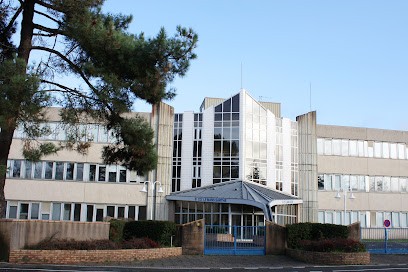 Cel - Center Study De Langues, Centre de Formation au Mans