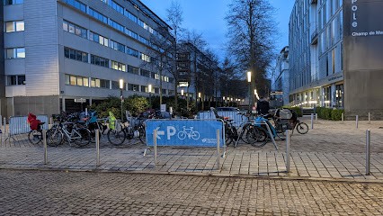 Yann Le Tolguenec / Trainer Bike And Educator À The Mobility, Centre de Formation à Nantes