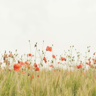 Laetitia Ferrand-Viu Consultante, J'accompagne Depuis Plus De 20 Years Les Dirigeants Businesses And Holders De Projets, Centre de Formation à Talence