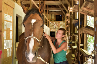 École De Shiatsu Equin D'aquitaine - Claire Latry - Shiatsu Pour Cheval Et Cavalier, Centre De Formation à la Réole