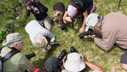 Training Photo Auvergne, Centre de Formation à Clermont-Ferrand