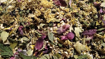 L'atelier Éco'naturel, Centre de Formation à Saint-Savinien