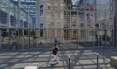 ESDES Junior Conseil, Centre de Formation à Lyon 02