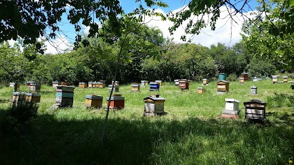 Apiary Ecole Apiculteurs Occitanie, Centre de Formation à Toulouse